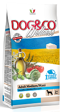 Dog&Co Wellness ADULT MEDIUM / MAXI (Рыба и рис)